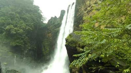 Mother and infant found dead at foot of waterfall