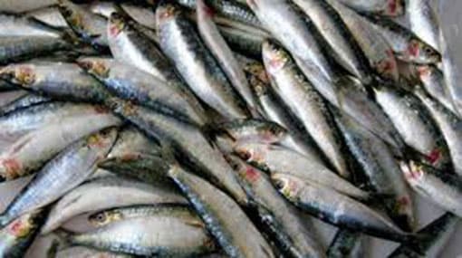 Ministry of Fisheries builds new breeding center in Batticaloa