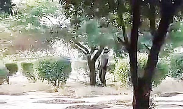 Sri Lankan commits suicide in Kuwait