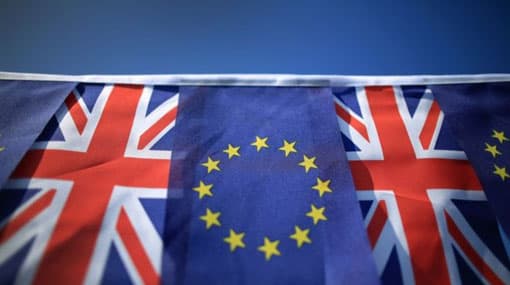 ‘Leave’ camp set to win Britain’s EU vote, pound crashes