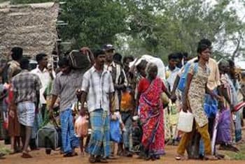 Study favours Indian citizenship for Sri Lankan refugees in TN
