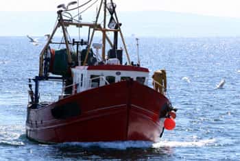 Navy arrests 21 Indian fishermen