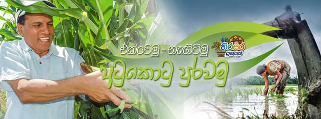 National Food Production Battle begins