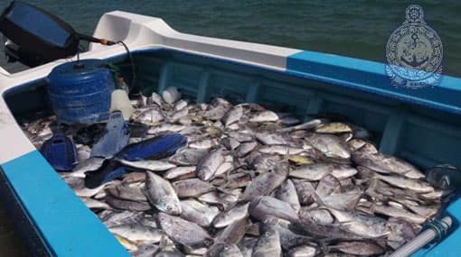 Local fishermen nabbed for engaging in illegal fishing