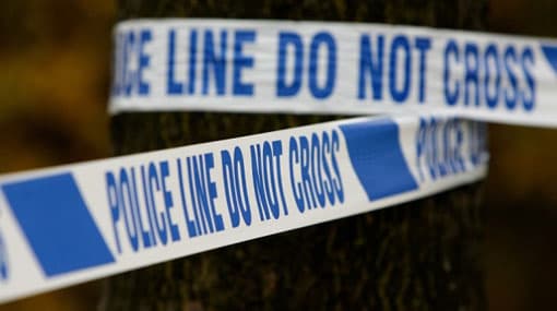 Sri Lankan woman killed in hit and run in London