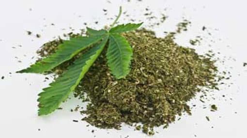 50 kg of Kerala Ganja recovered from Valvettithurai