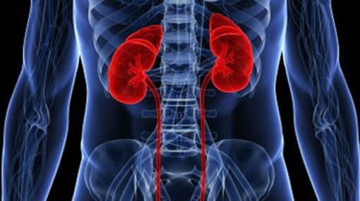 Monthly allowance paid to kidney patients increased