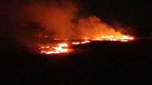 Fire completely destroys paddy fields in Madampe