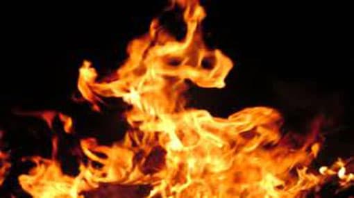 Fire breaks out at Hakgala Botanical Gardens