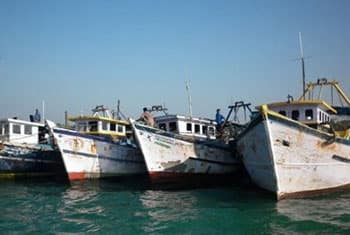 26 Indian fishermen arrested