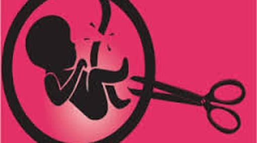 Proposal to legalize abortions on 3 grounds