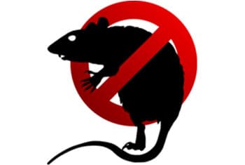 VIDEO: Two boys die after eating chocolates laced with rat poison
