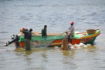 24 Indian fishermen released not 46 – SL Navy