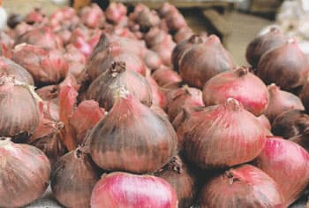 80 tonnes of spoilt onions found in warehouse