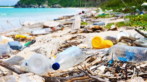 Fishing community points fingers at India over dumping of medical waste