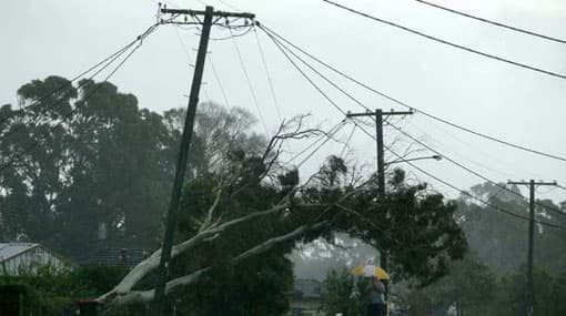 Heavy rain, strong winds lash South
