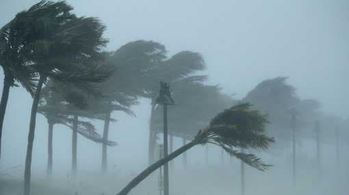 Wind condition to increase from tomorrow