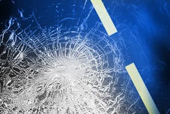 24 injured after bus skids off the road