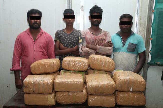 Indian among 4 nabbed with over 39 kg of cannabis