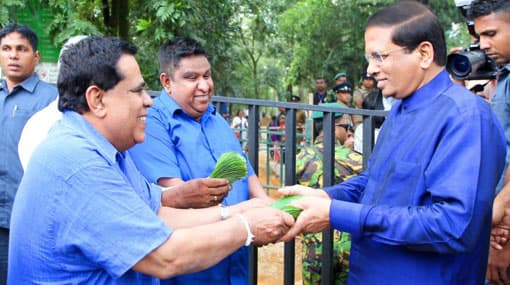 Subsidies given to seed potato farmers to be increased – President