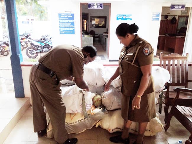 Four nabbed for theft of 400 coconuts