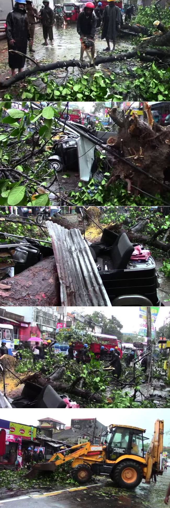 One injured after tree falls on vehicle in Pamankada