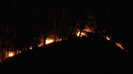 Kuruminiyagala forest fire not controlled yet