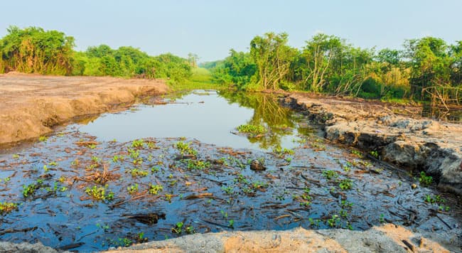 President orders to halt all construction at Muthurajawela