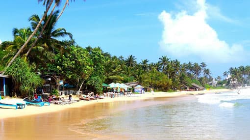 13 arrested over attacks on tourists at Mirissa & Midigama