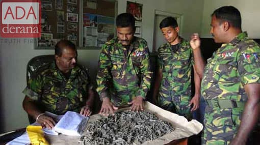 Person nabbed for trading cannabis in cemetery