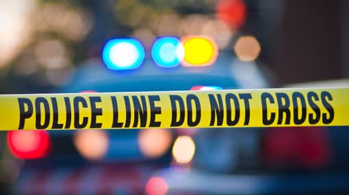 Elderly woman and nephew dead in apparent murder-suicide