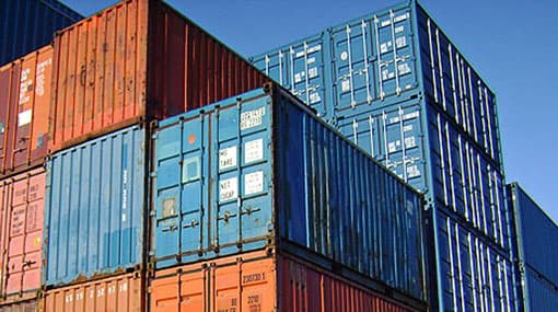 Majority of imported canned fish confirmed to be infected with parasites