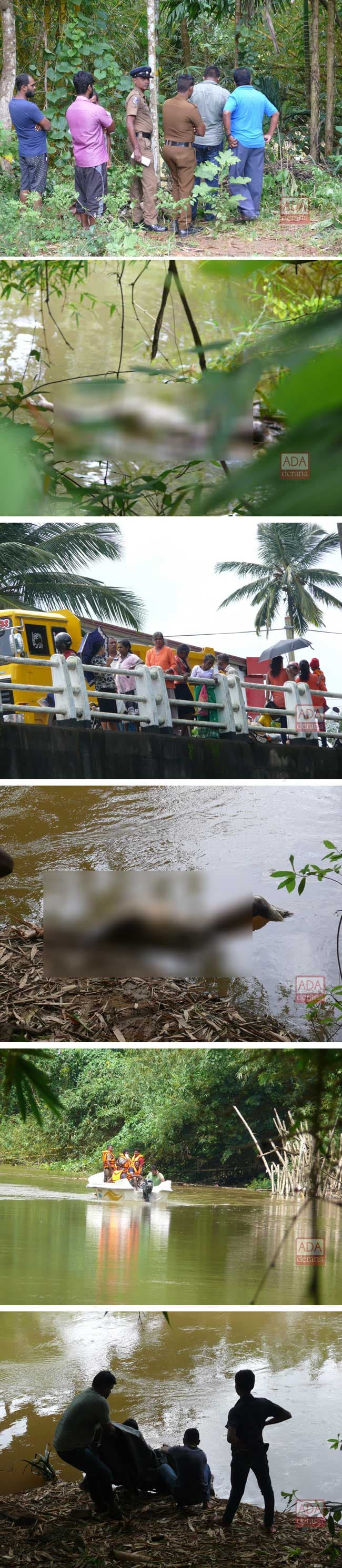Dead body missing two limbs and head found in Nilwala River
