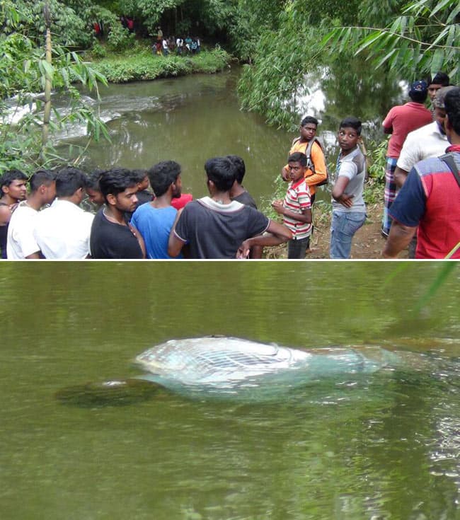 Body of missing man found flaoting in Keselgamuwa Oya