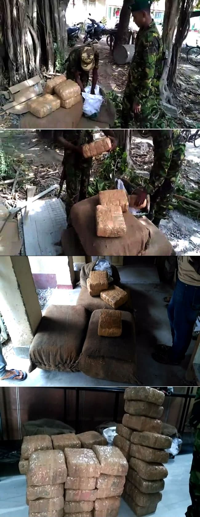 STF arrest suspect with 130kg of Kerala Cannabis in Mannar