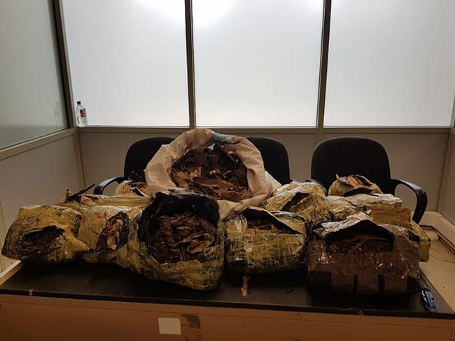 Youth held for attempting to smuggle Wallapatta and Kokum rind