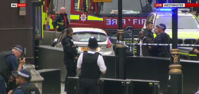 Man arrested after crashing car into UK Parliament