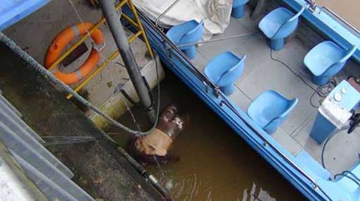 Unidentified body found floating in Upper Kotmale reservoir