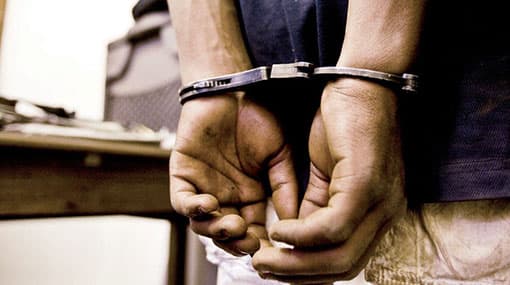 12 arrested over attack on wildlife officers at Minneriya Park