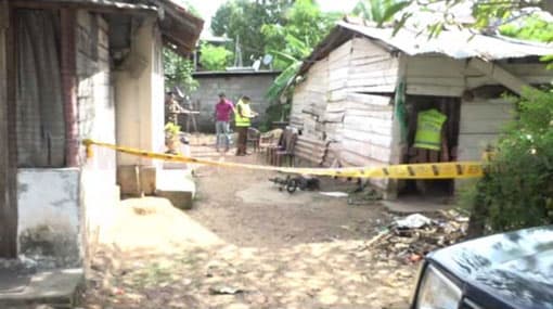 Mother dies in stabbing trying resolve land dispute between her sons
