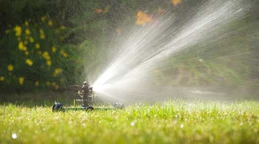 Use water sparingly during this dry weather – Water Board