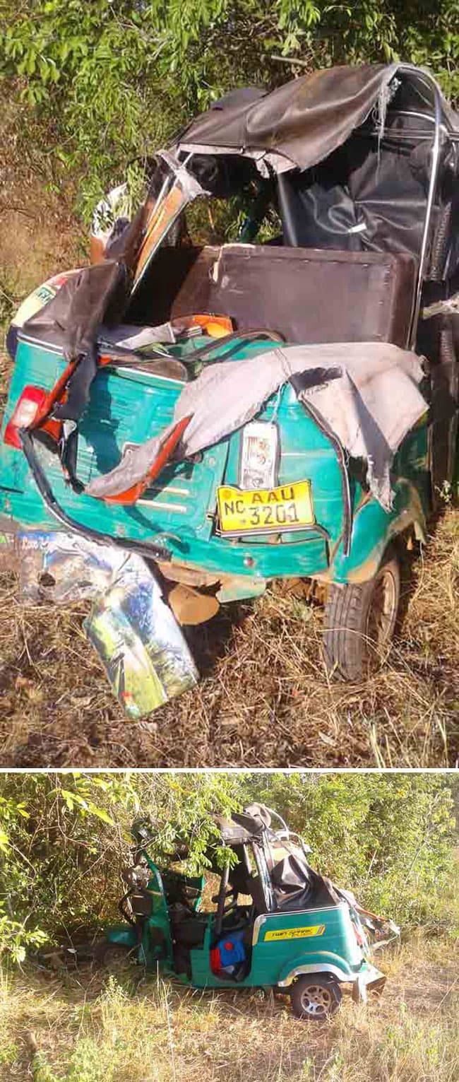 Two hospitalised after elephant attacks three-wheeler