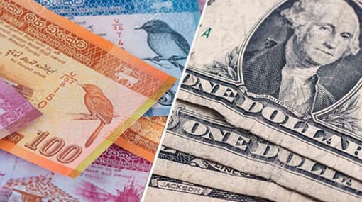 Sri Lanka Rupee hits fresh low