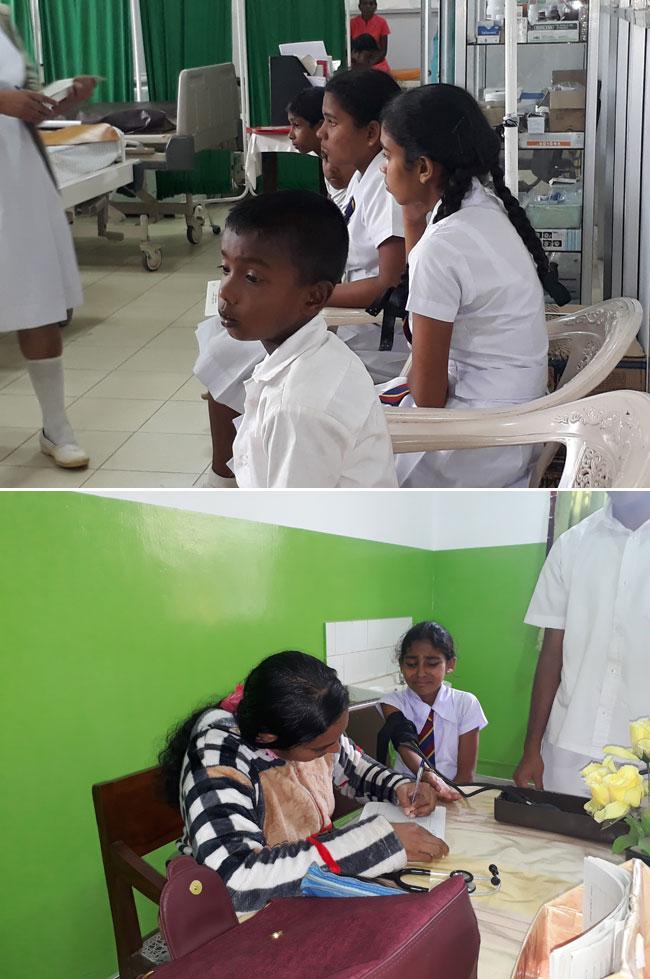 25 students in hospital following wasp attack