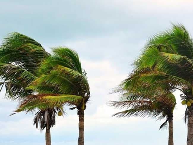 Strong gusty winds expected over the island