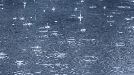 Showers expected in most parts of the island