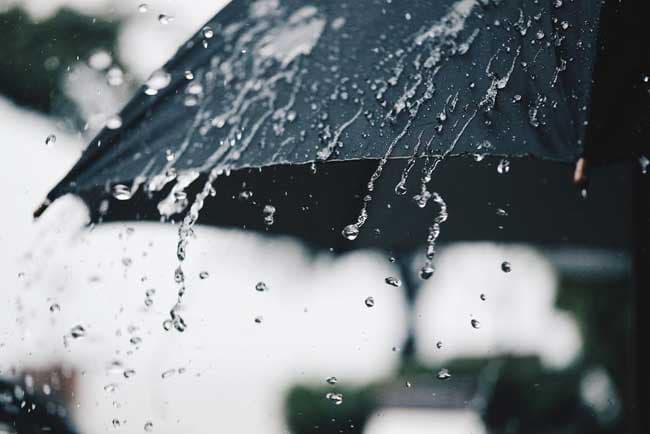 Rainy condition to continue