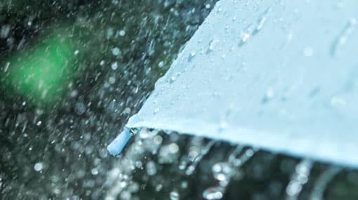 Showers expected to enhance today – Met Dept.