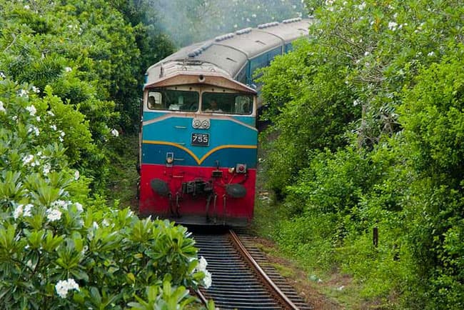 Train services disrupted on upcountry railway line