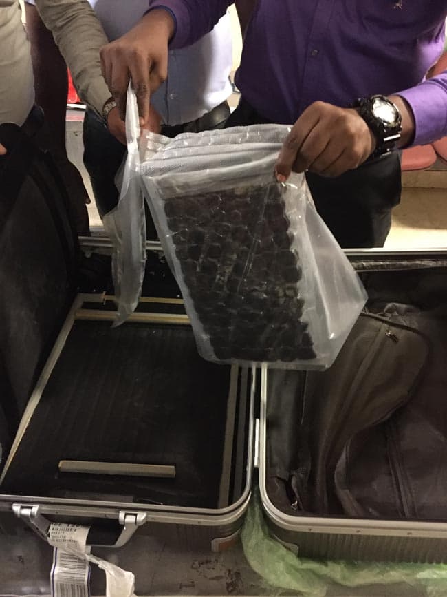 PNB arrests Indian with Hashish at BIA